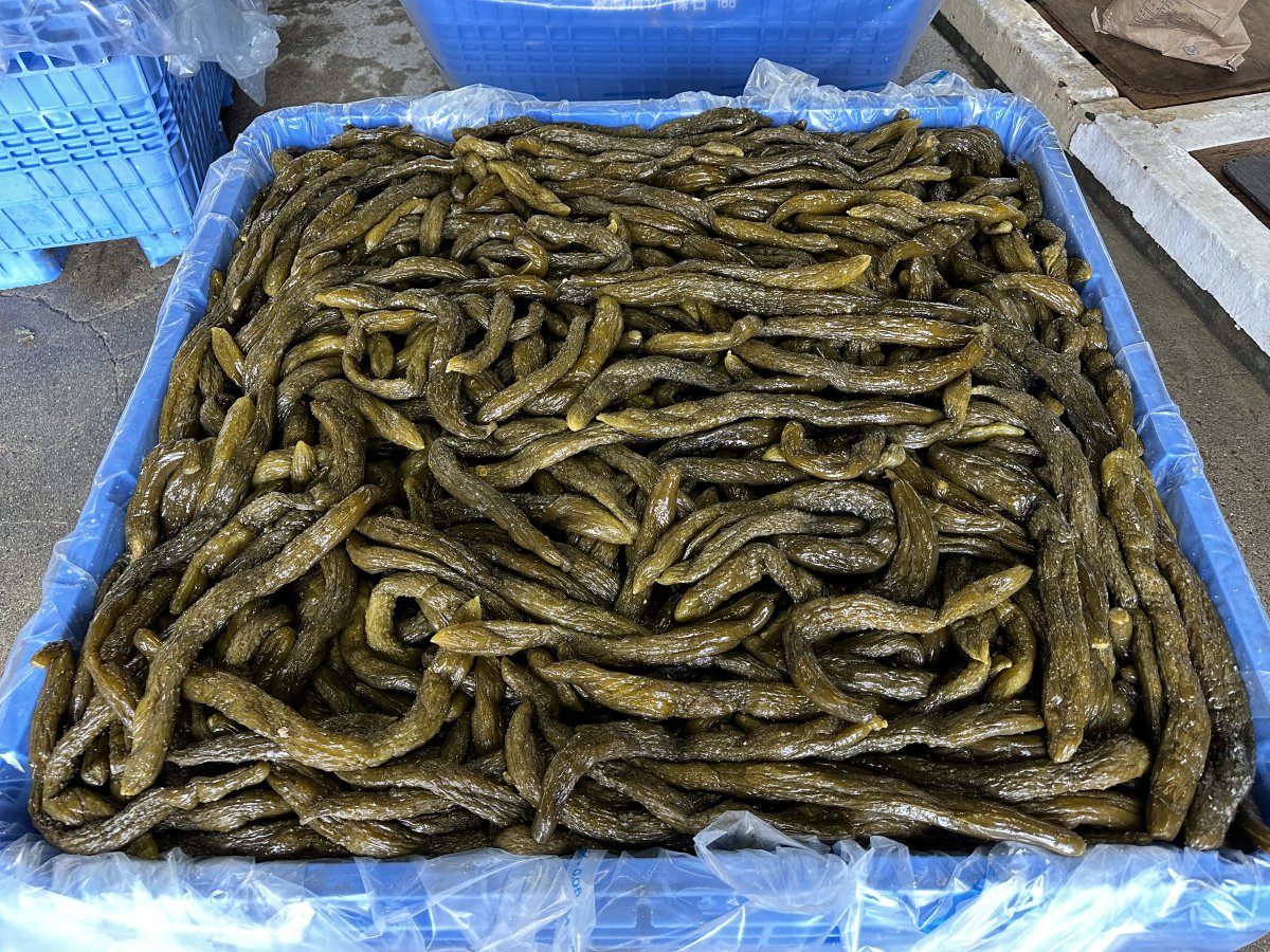 胡瓜（塩蔵）