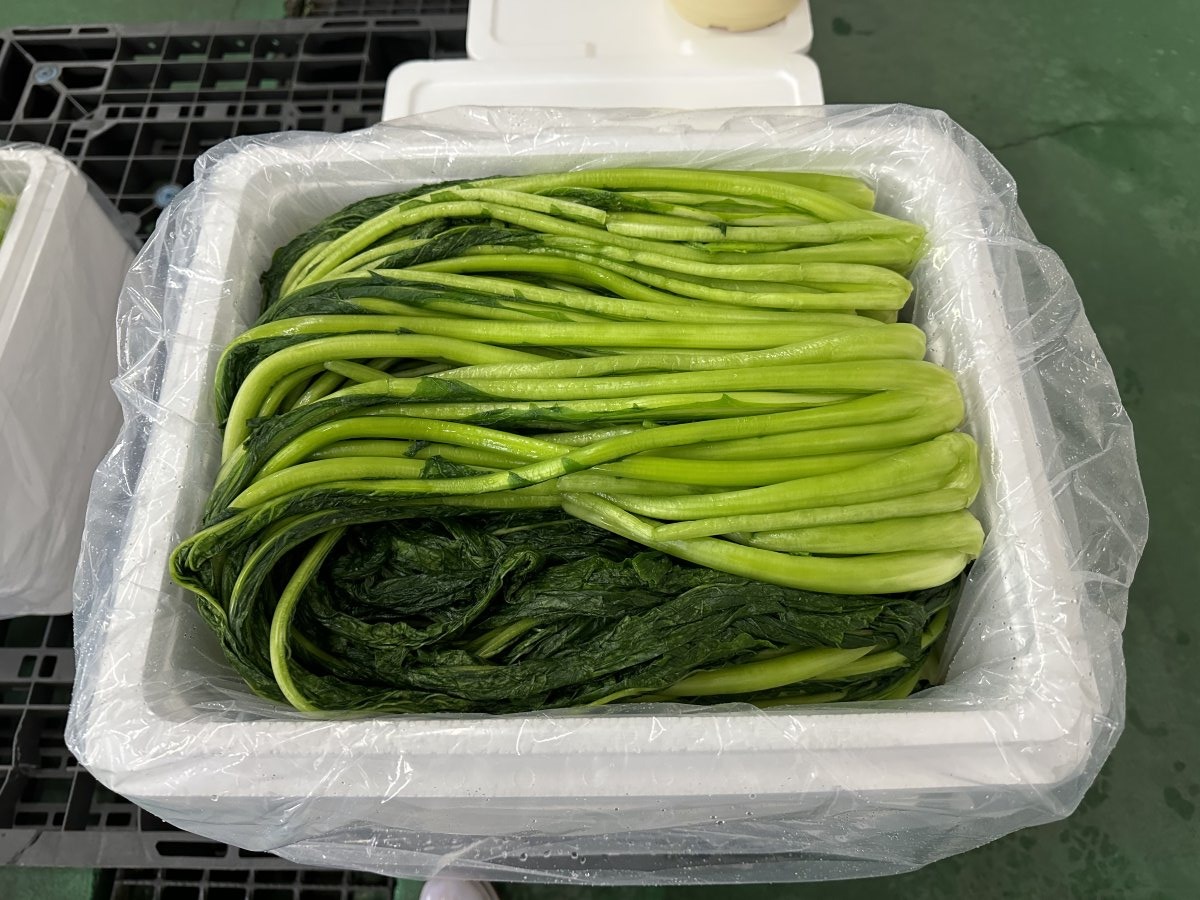 野沢菜（塩漬）