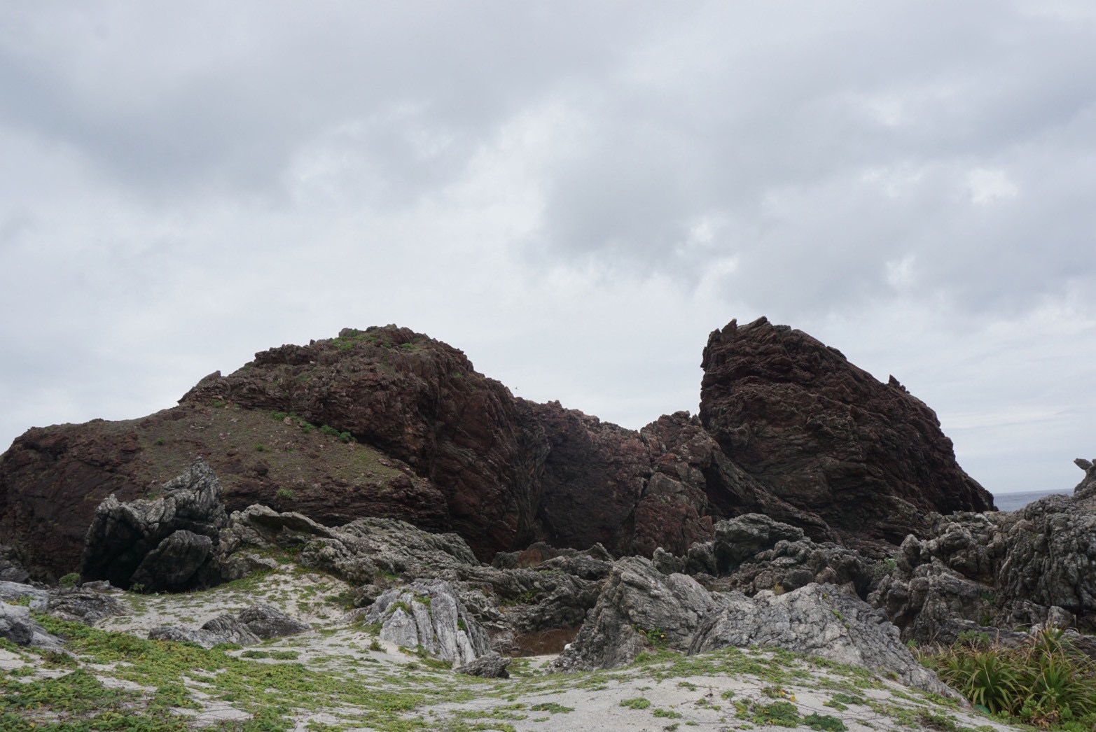 プランタドール