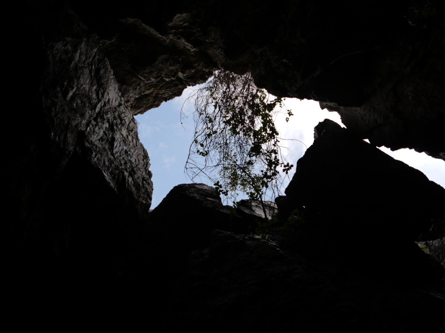 プランタドール