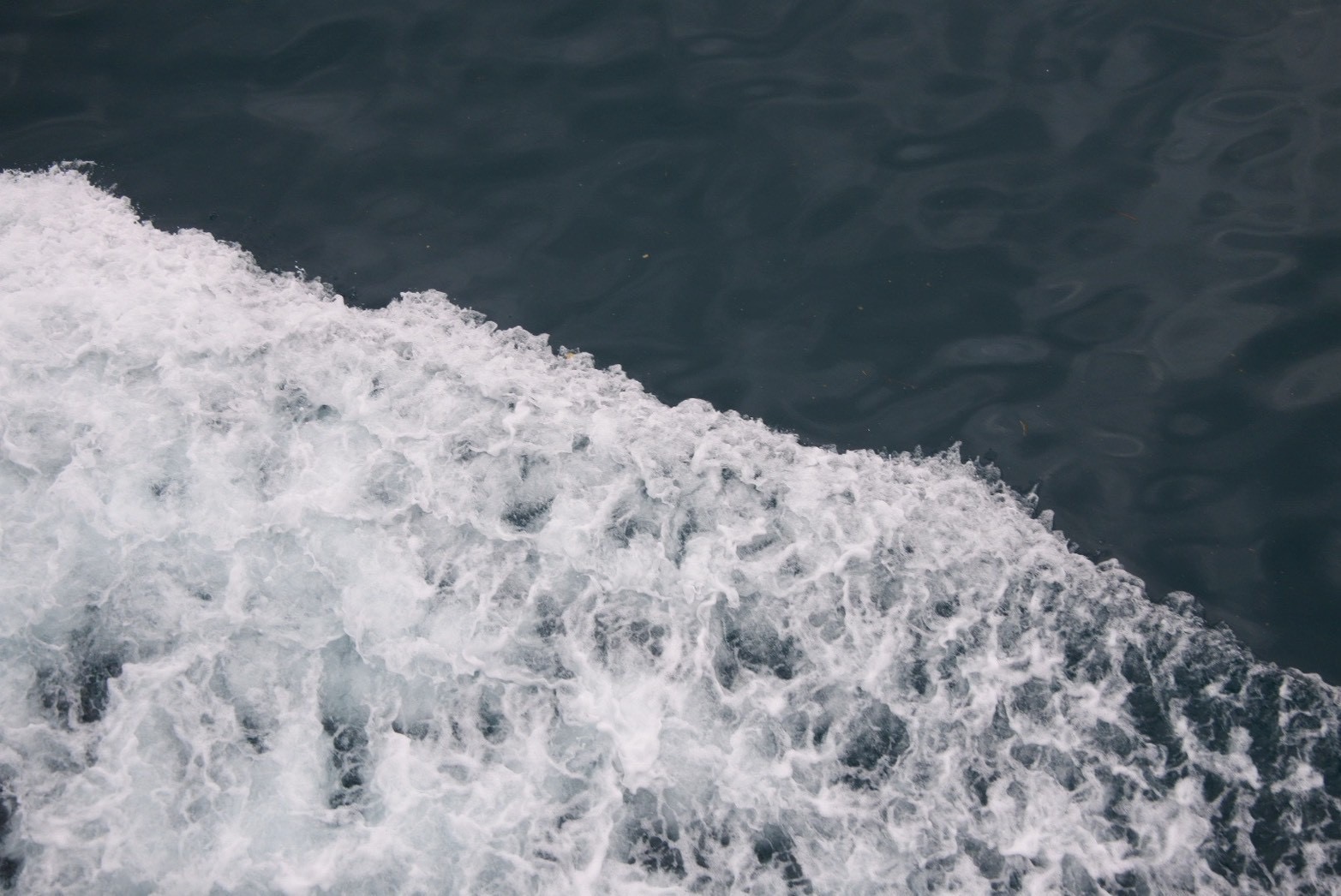 プランタドール