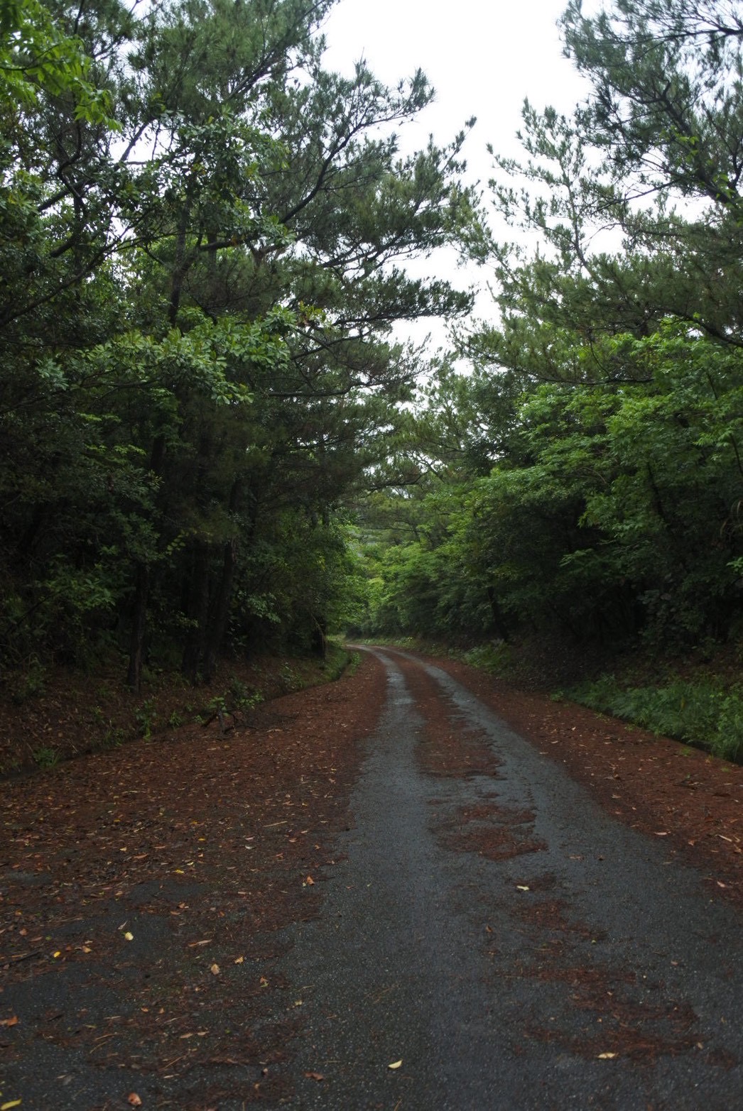 プランタドール