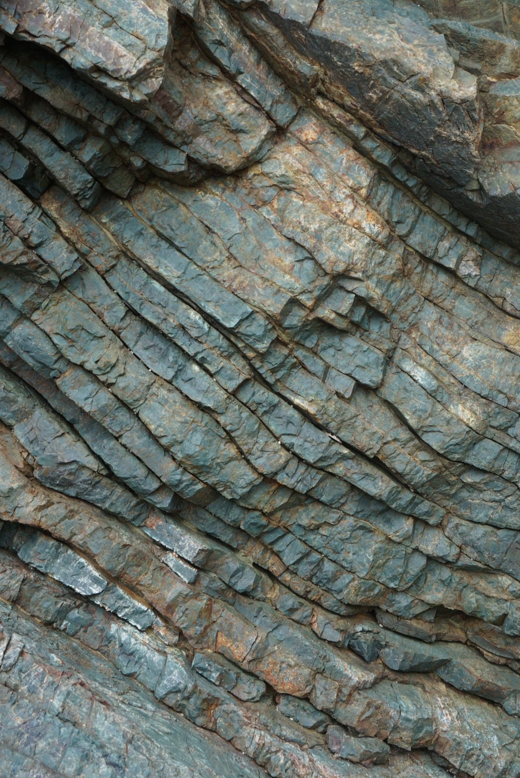 プランタドール