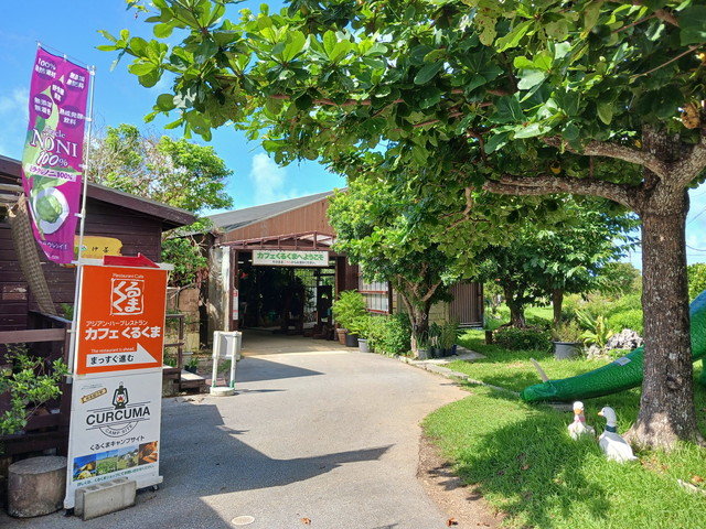 導入事例 カフェくるくま