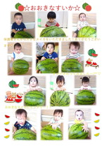 ひよこ組大きなスイカ