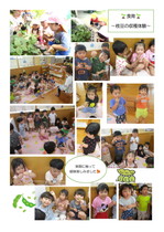 うさぎ組食育活動枝豆収穫