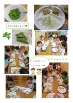 うさぎ組食育活動枝豆試食