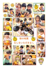 りす組 食育活動「なし　いただきました」