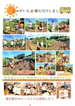 じゃがいも植え