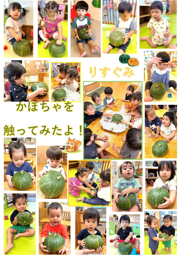 りす組 食育活動 かぼちゃ
