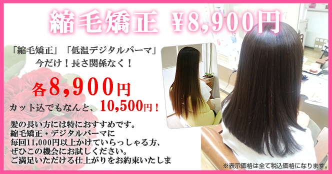 低温デジタルパーマ・縮毛矯正