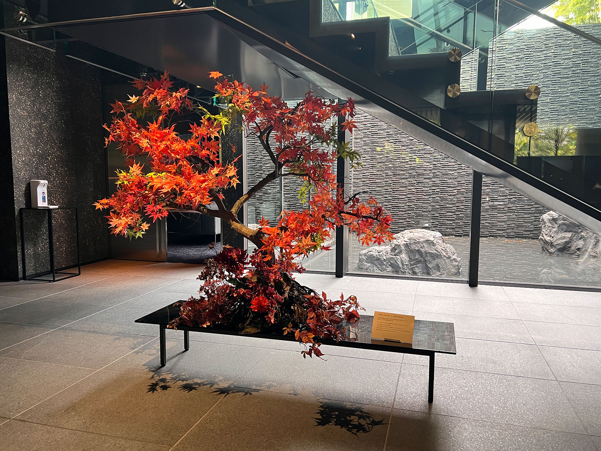 La Bonsai sec | 徳島県産の高級盆栽