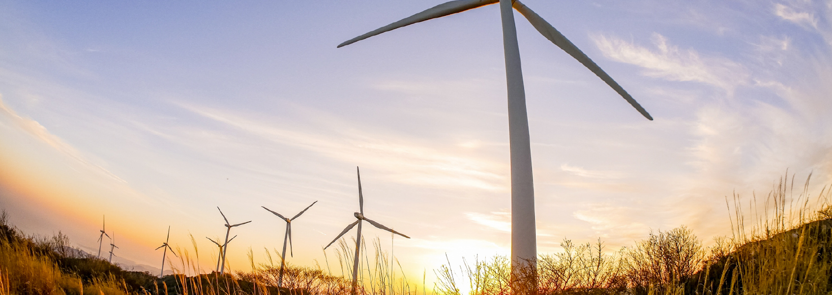 株式会社ディー・ジー・アイ｜温暖化ソリューション専門コンサルティング | 企業の未来をサステナブルに