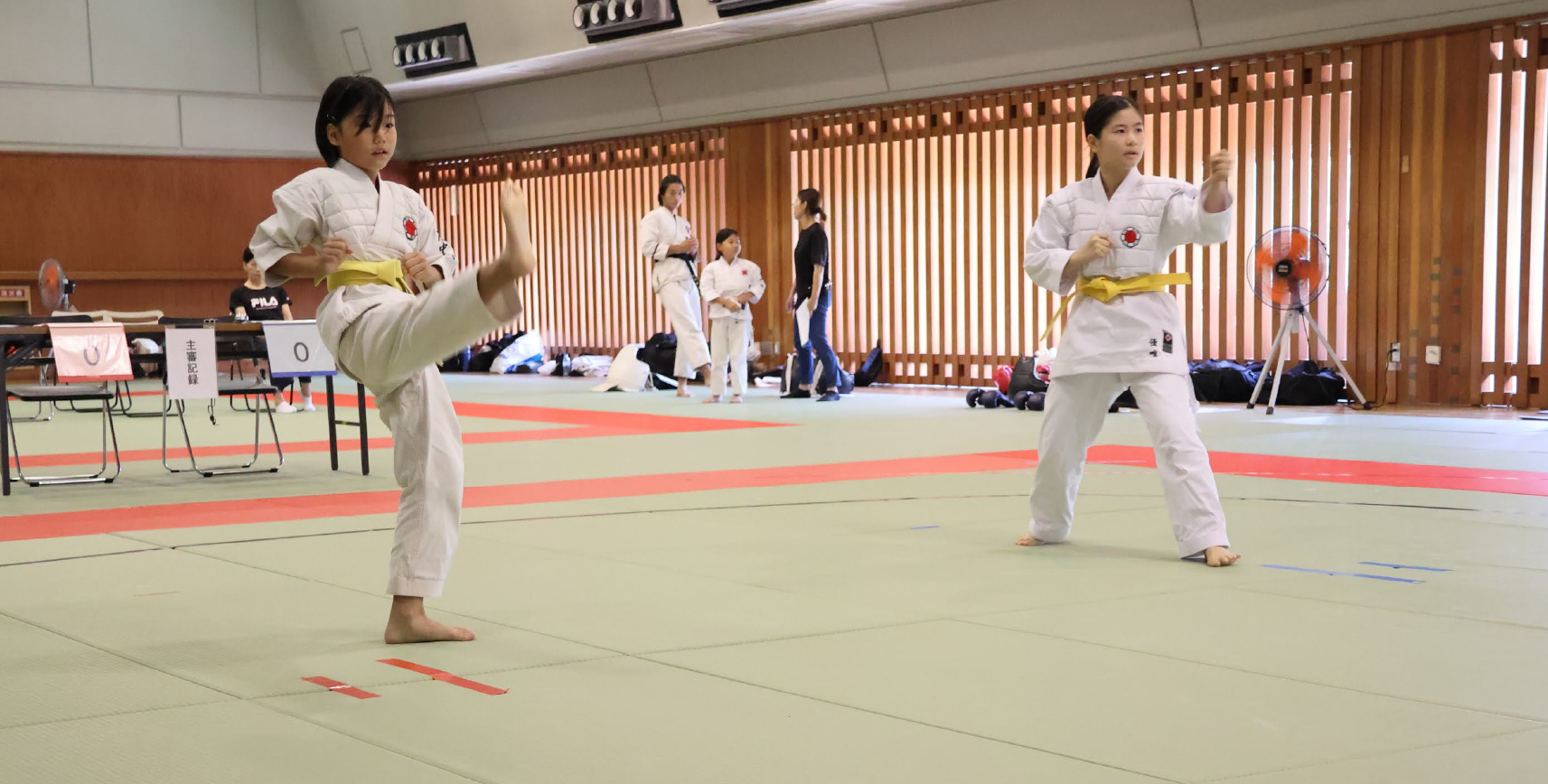 日本拳法協会｜子供から大人まで学べる武道｜道場案内・大会結果・形演武
