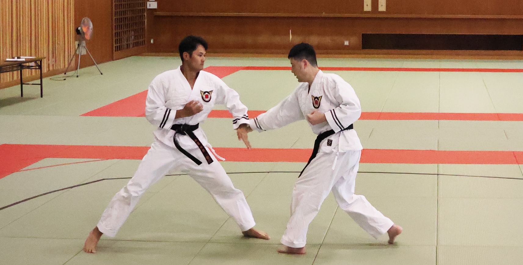 日本拳法協会｜子供から大人まで学べる武道｜道場案内・大会結果・形演武